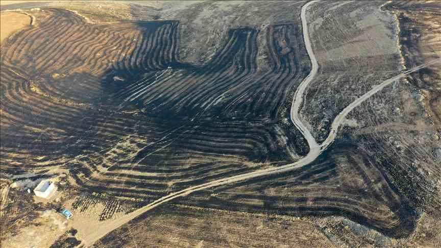 Diyarbakır ve Mardin arasında anız yangını 5 ölü