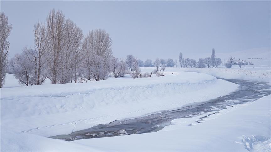 Erzurum, Van, Ağrı ve Muş'ta kar nedeniyle eğitime bir gün ara verildi