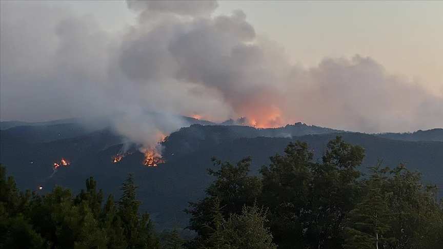 Eskişehir'de 10 kişinin şehit olduğu orman yangınıyla ilgili soruşturma başlatıldı
