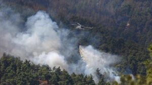 İletişim Başkanlığı Son 4 günde orman ve kırsal alanda meydana gelen 306 yangına müdahale edildi, 304 yangın söndürüldü