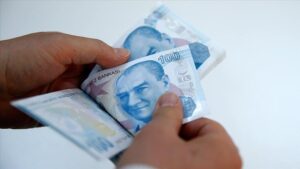 İlk defa uygulanacak Gelir Tamamlayıcı Destek Programı bu yıl başlayacak