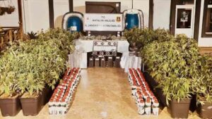 Jandarma, son iki haftadaki operasyonlarında 6 milyon uyuşturucu hap ile 270 kilogram uyuşturucu ele geçirdi