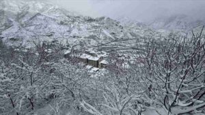 Karadeniz'de kar hayatı olumsuz etkiledi