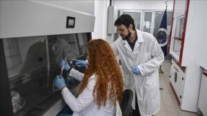 Koyun kalp kapakçığından insanlarda kullanılabilecek kalp kapakçığı implantı üretildi