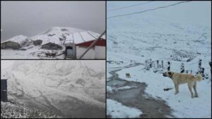 Rize, Artvin ve Ardahan'da yüksek kesimlere kar yağdı