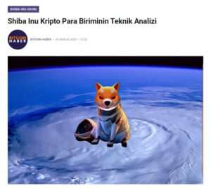 Shiba Inu Teknik Görünüm SHIB Fiyatında Önemli Seviyeler
