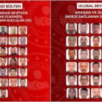 Son 1 ayda kırmızı bültenle ve ulusal seviyede aranan 63 suçlu Türkiye'ye getirildi
