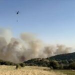 Uşak ve Manisa'daki yangınlar kontrol altına alındı, Balıkesir'deki yangına müdahale ediliyor