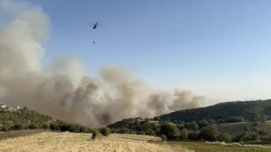 Uşak ve Manisa'daki yangınlar kontrol altına alındı, Balıkesir'deki yangına müdahale ediliyor