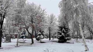 Yurdun bazı kesimlerinde kar etkili oldu